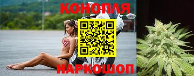 Альфа ПВП Канаш