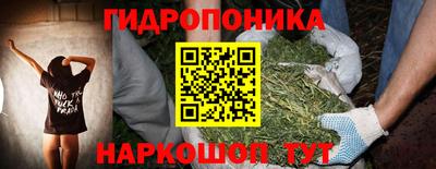 Альфа ПВП Канаш